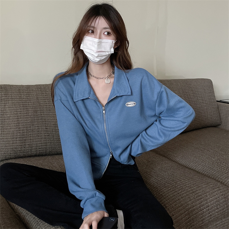 2026 Korean Style Double Zip Long Sleeve Polo Collar Short Loose Fit Top for Petite Women - Style 67c520 - Image 3